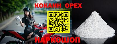 молекула духа Будённовск