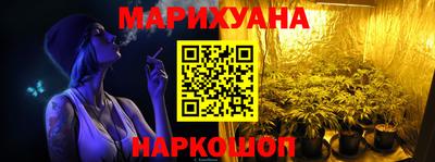 молекула духа Будённовск